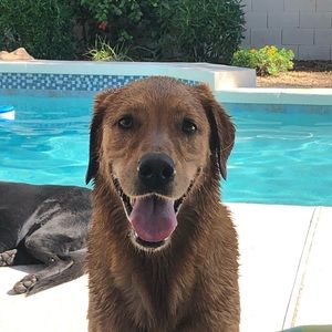 Meet your Posher, Daniel